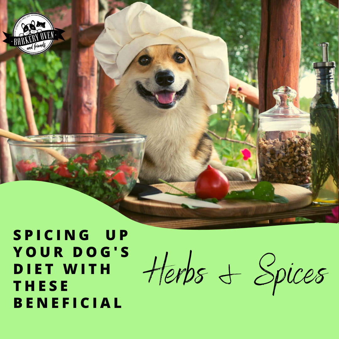 Stunning Epilepsy Dog Food Natural Spices Recipes image