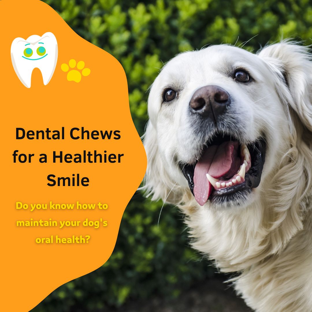 Soopa Dog Dental Chews