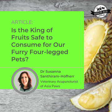 Is The King of Fruits – Durian, Safe to Consume for Our Furry Four-legged Pets?