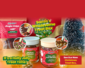 Christmas Collection 2025