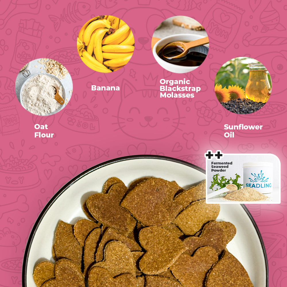 Energy Boost: Banana & Molasses Biscuit