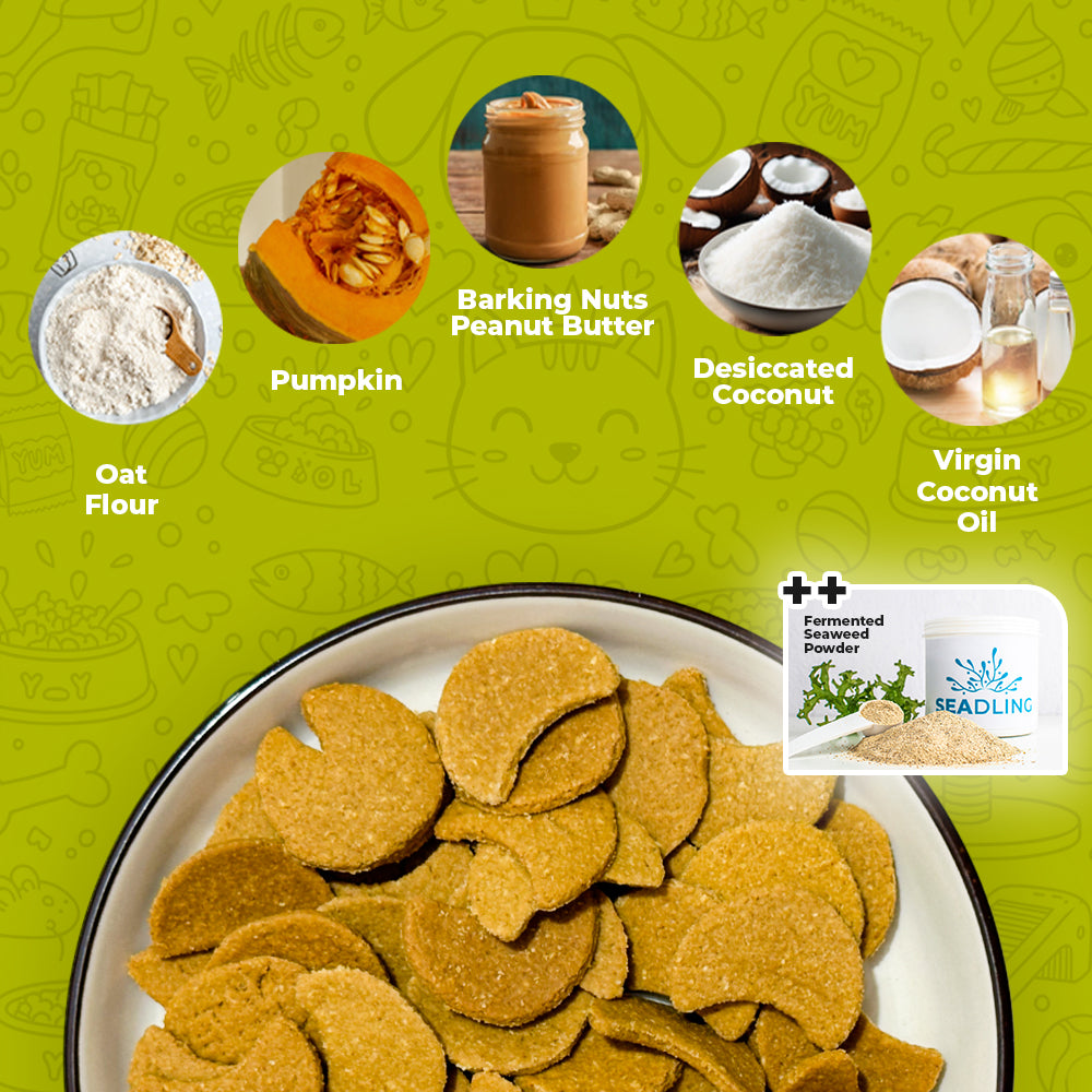 Digestive Health: Tropical Nutty Pumpkin Biscuit