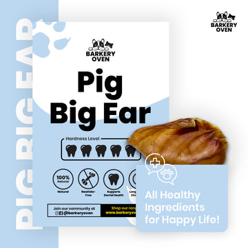 Naturally Porky Ear (Big)