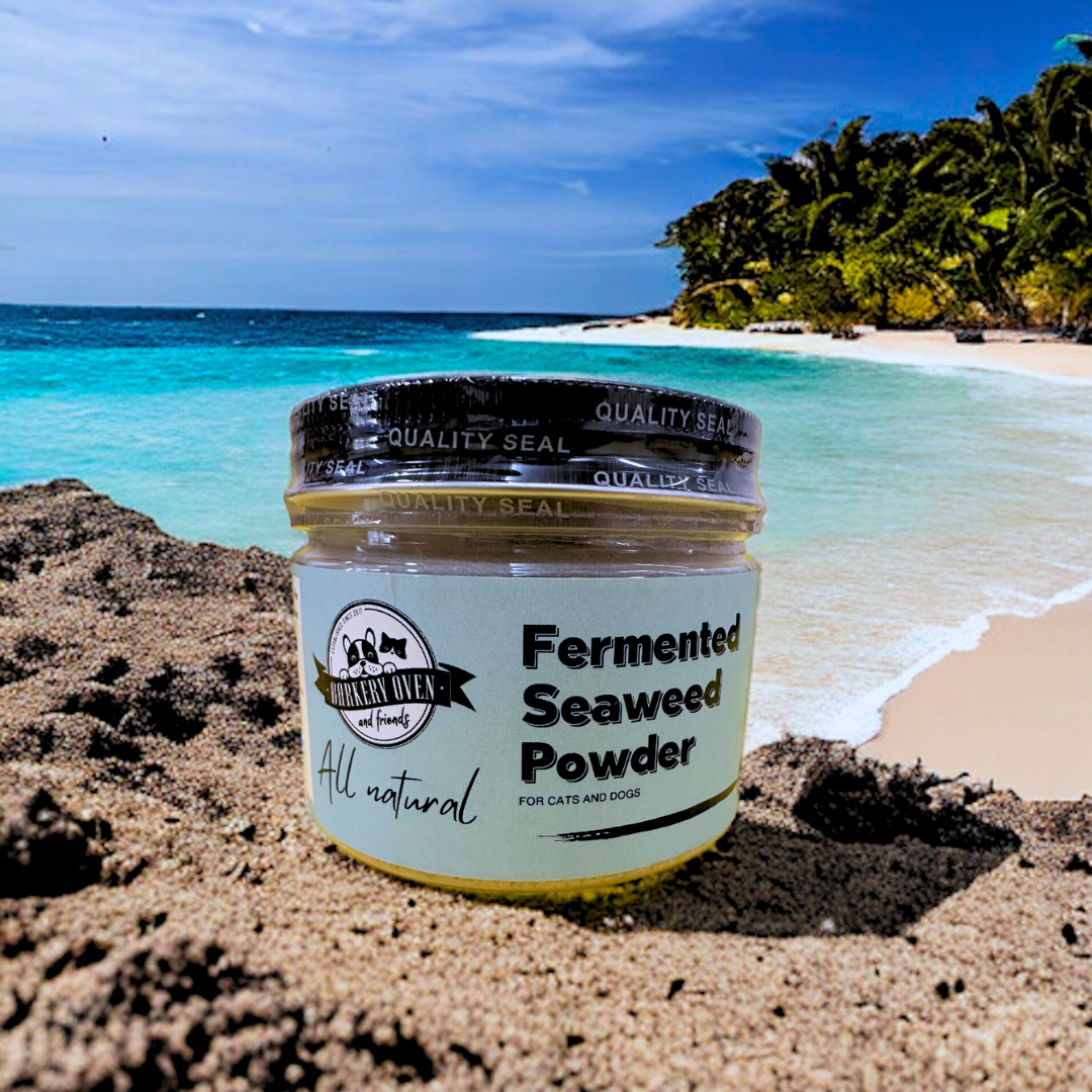 Supplemental Series: Fermented Seaweed Powder