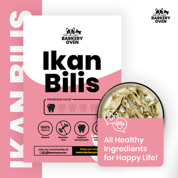 Naturally Ikan Bilis