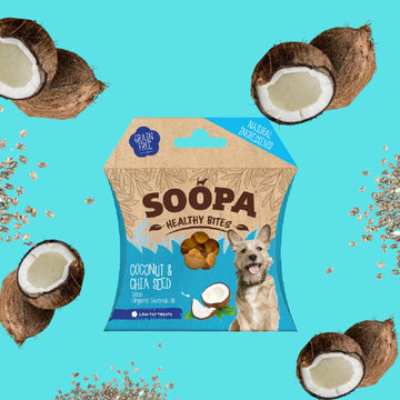 Soopa Dental Chew Coconut & Chia Seed (Bite Sized)