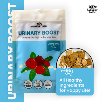 Cranberries & Oats Biscuit