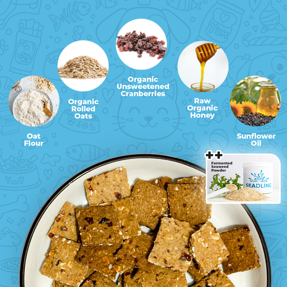 Urinary Boost Cranberries & Oats Biscuit