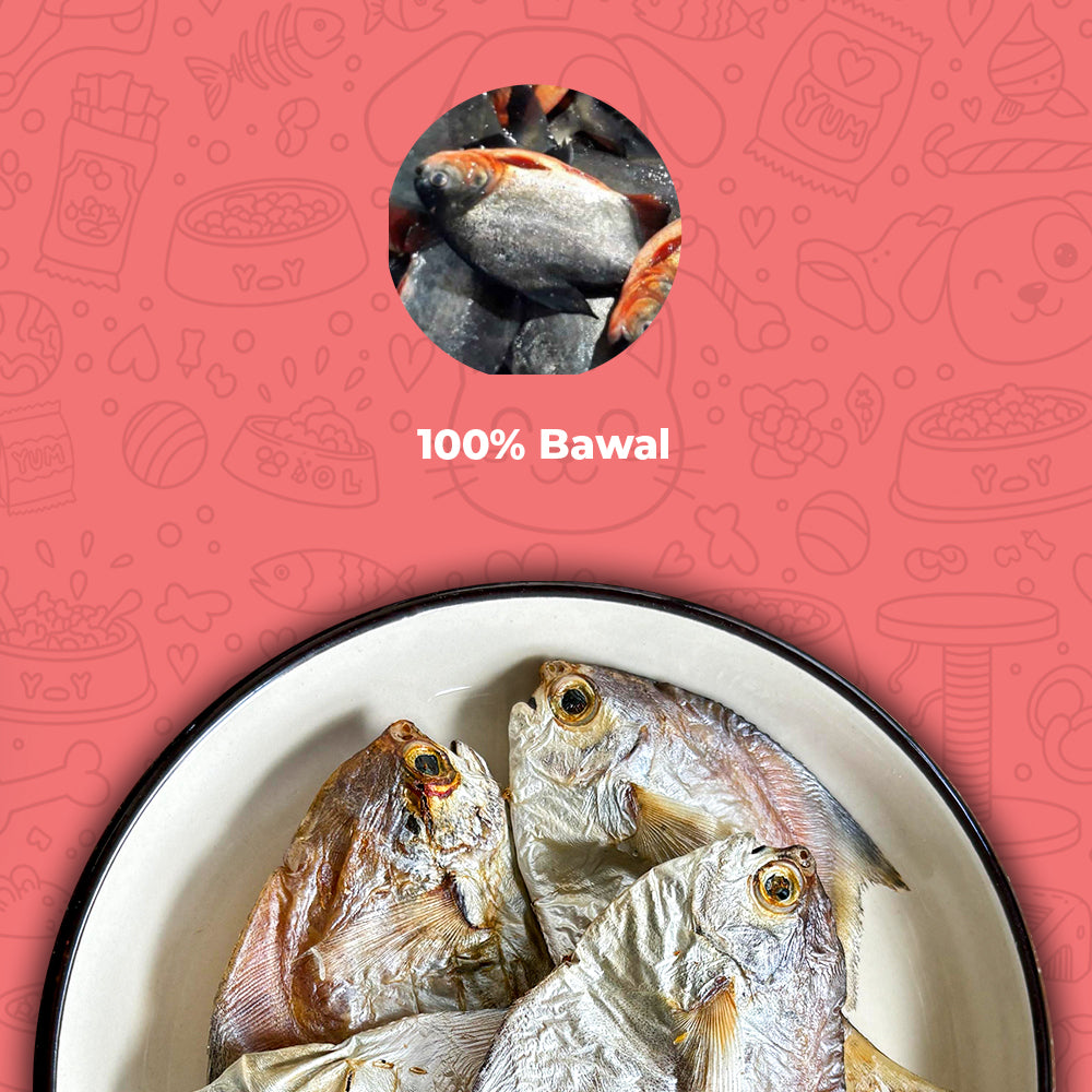Naturally Ikan Bawal