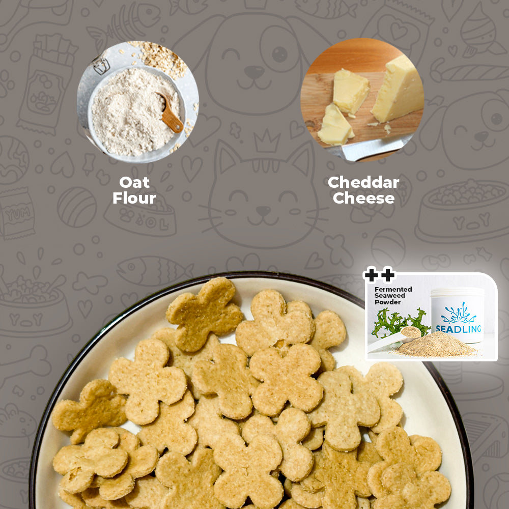 Calcium Boost: Oats & Cheddar Biscuit