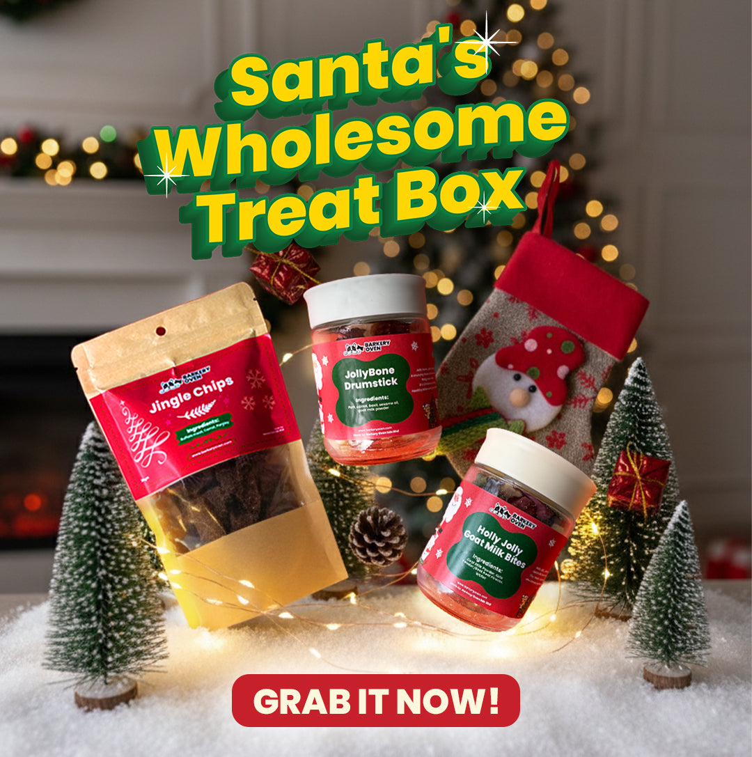 Santa’s 2025 Wholesome Treat Box