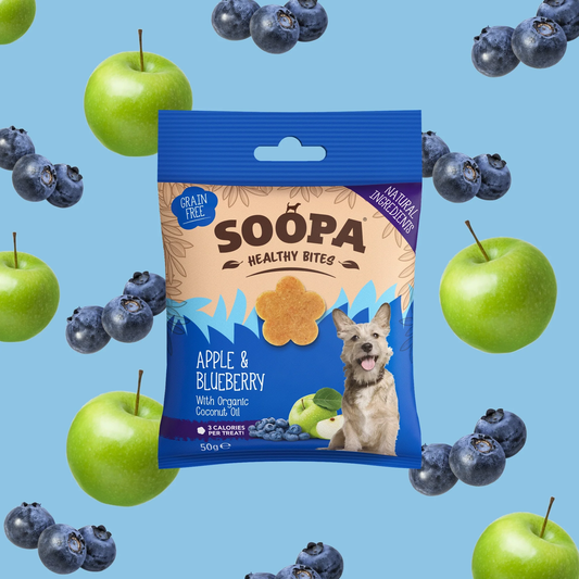 Soopa Healthy Bites - Apple & Blueberry