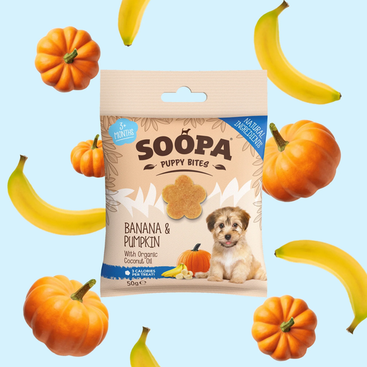 Soopa Healthy Bites - Banana & Pumpkin (For Puppies)