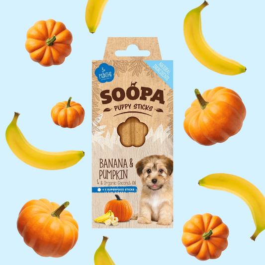 Soopa Dental Sticks - Banana & Pumpkin (for Puppies)