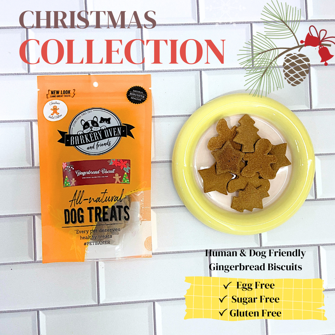 Christmas Collection: Gingerbread Biscuit
