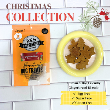 Christmas Collection: Gingerbread Biscuit