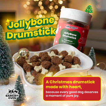 JollyBone Drumstick