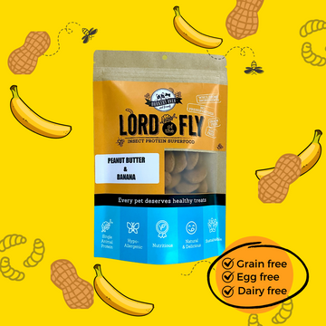 Lord of THE FLY - Peanut Butter & Banana