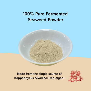 Supplemental Series: Fermented Seaweed Powder