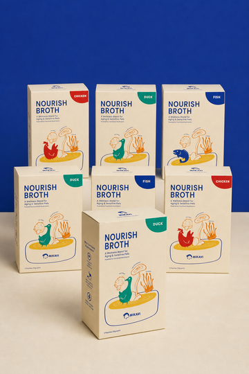 Nourish Broth Monthly Ritual: 6 boxes plus 1 bonus box
