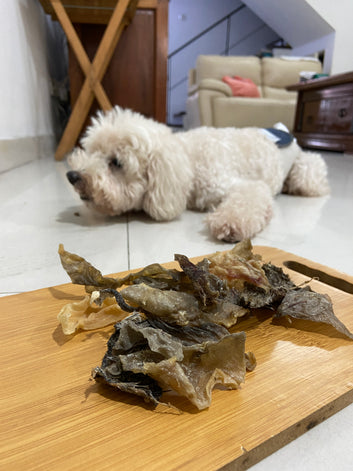Naturally Ostrich Skin