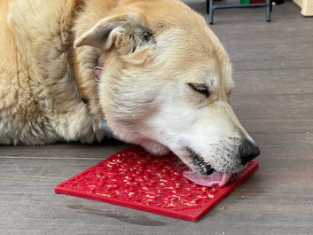 SODAPUP Enrichment Bones Design Lick Mat