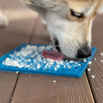 SODAPUP Enrichment Jigsaw Design Lick Mat