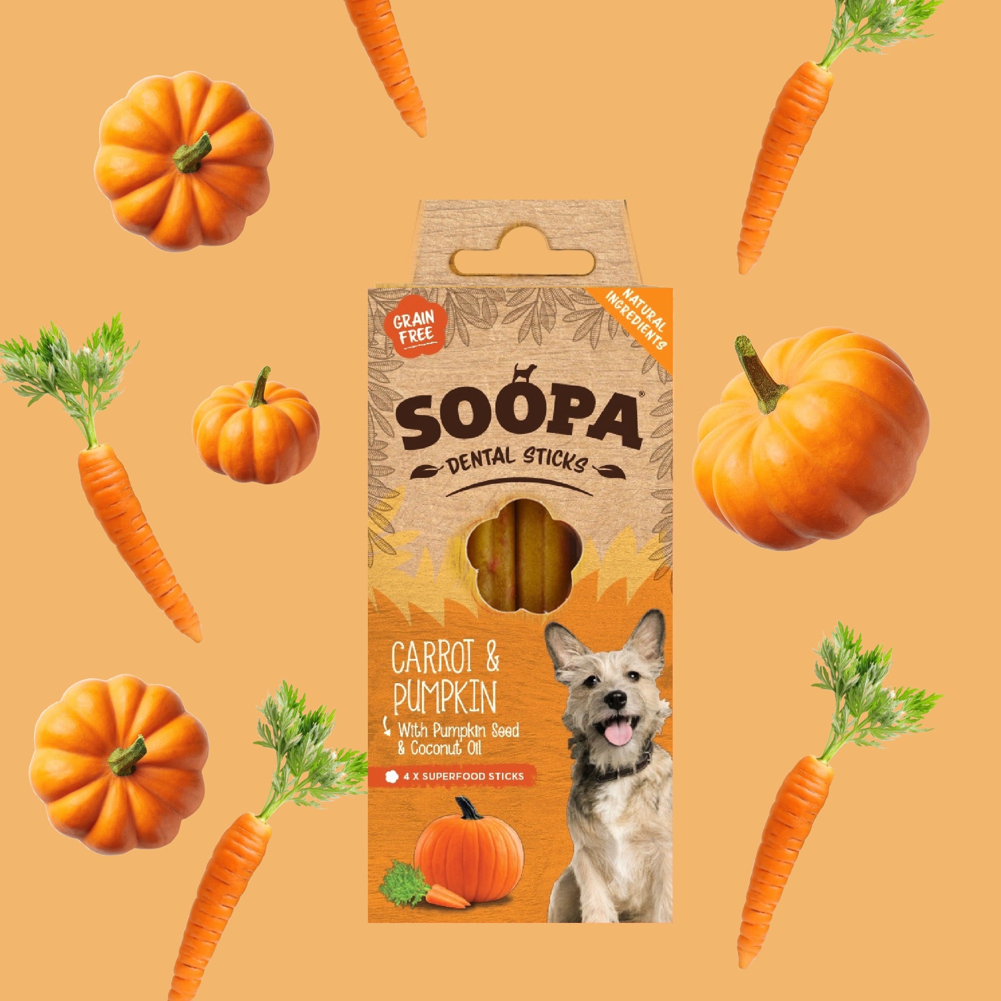 Soopa Dental Chew Carrot and Pumpkin (Sticks)