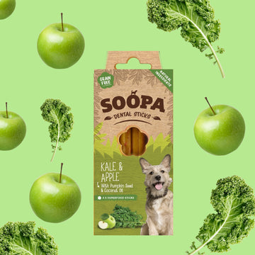 Soopa Dental Sticks - Kale & Apple