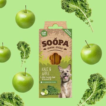 Soopa Dental Chew Kale & Apple
