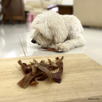 Naturally Porky Ear (Small)